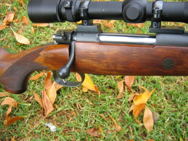 Bolt-Action Rifle