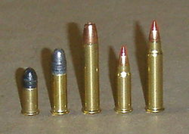 L to R - 22 Short, 22 LR, 22 WMR, 17 HM2, 17 HMR