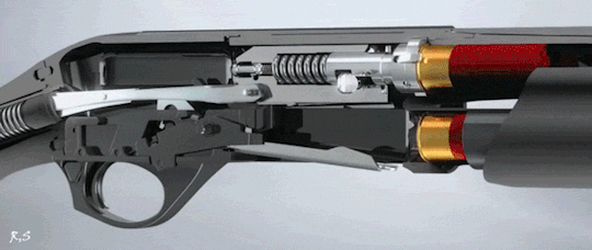 Inertia driven semiauto shotgun