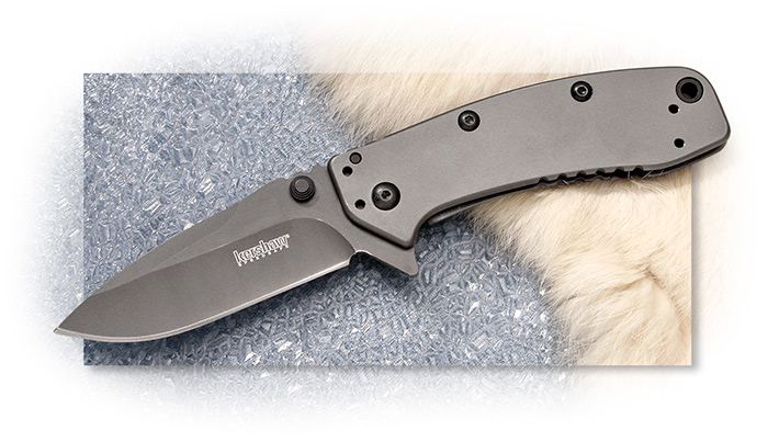 Kershaw Cryo 2