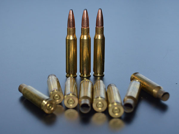 .308 and shells